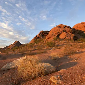 https://hyatt-place-tempe-phoenix-airport.hotelsofphoenix.com