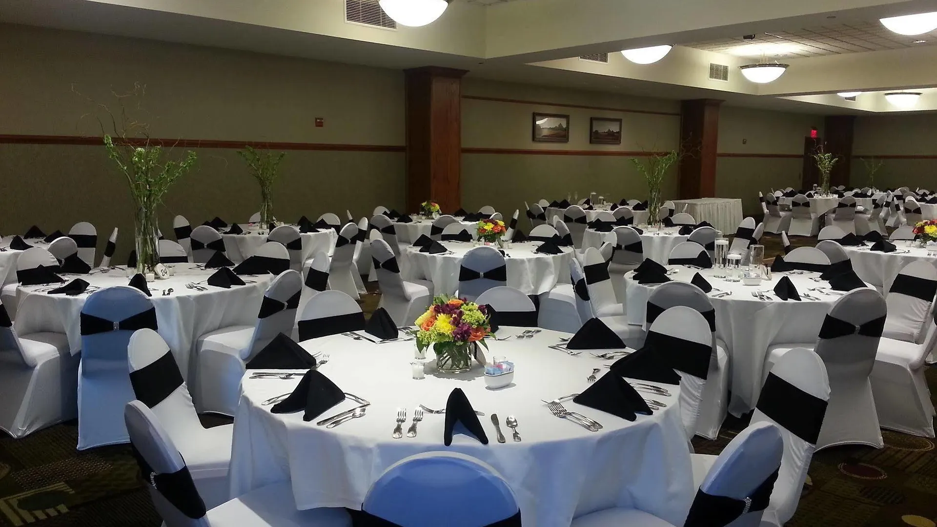 ***  Casino Queen Hotel Saint Louis United States